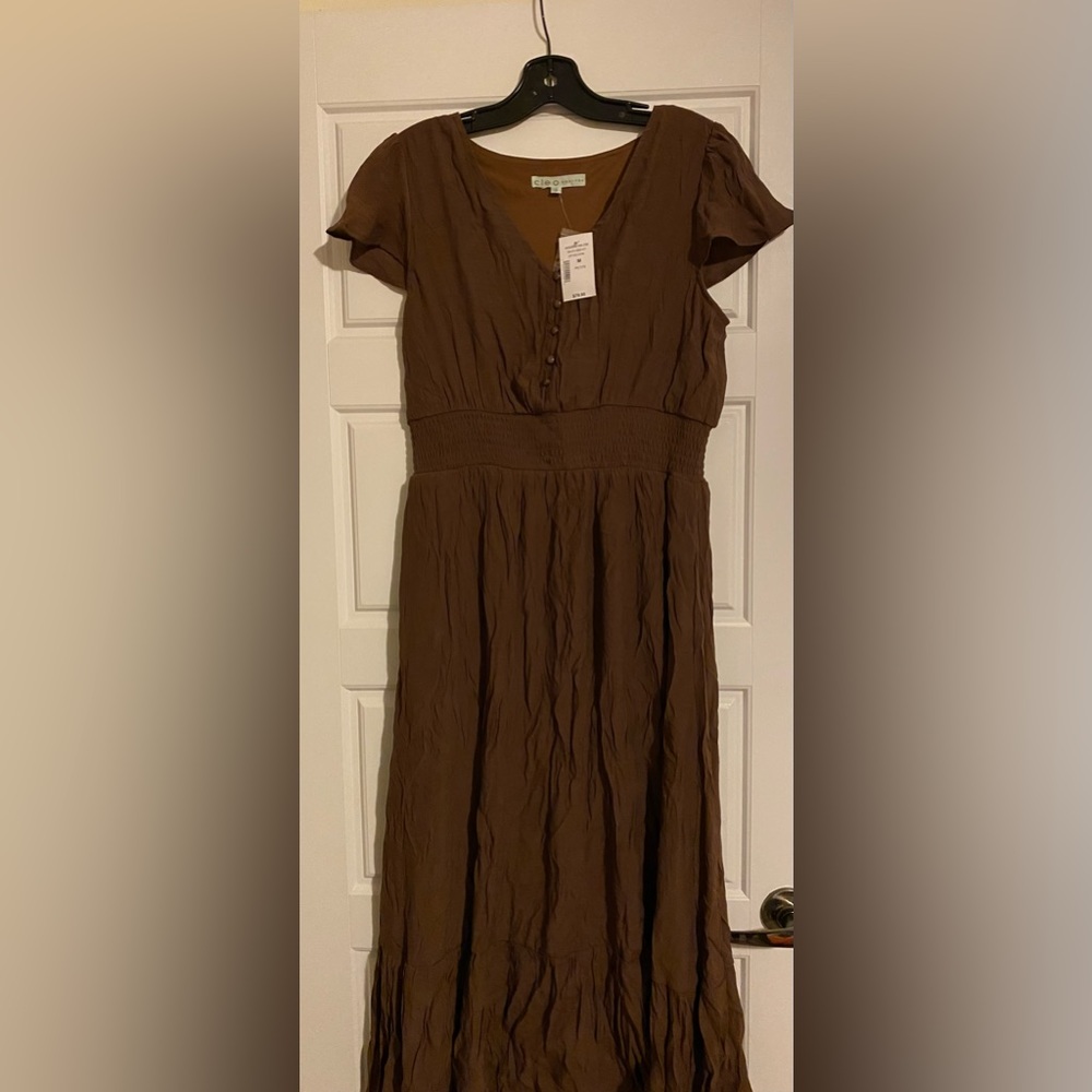 BNWT Cleo maxi dress